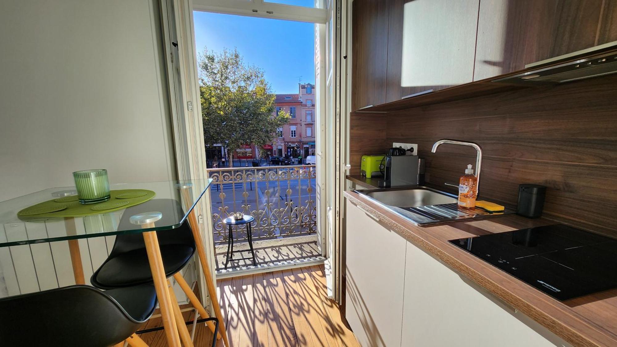 Apartment Le Jardin D'eden Premium - Equipe, Balcon, Hypercentre Toulouse